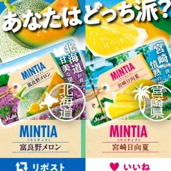 Asahi Mintia Mints - Furano Melon