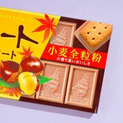 Bourbon Alfort Mini Chocolate Biscuits - Chestnut