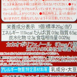 Detective Conan Furuta Choco Egg