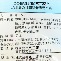 Fujiya Peko-Chan Hyuganatsu Citrus Pops