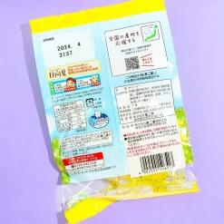 Fujiya Peko-Chan Hyuganatsu Citrus Pops