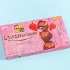 Glico Kobe Roast Chocolate - Strawberry Fondant