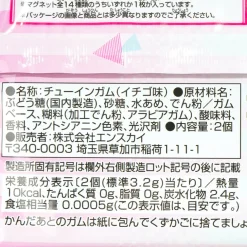 Hatsune Miku Hexagonal Magnet With Gum