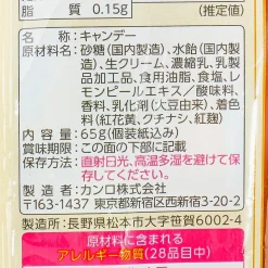 Kanro Yofukashi Cafe Hard Candy - Assorted Ice Cream Floats