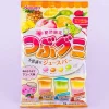 Kasugai Tsubu Gummy Candy - Mysterious Juice Bar