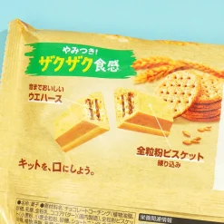 Kit Kat Chocolates - Mini Whole Wheat Biscuits