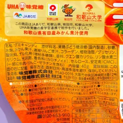 Kororo Fruit Juice Gummy - Arita Mandarin Orange