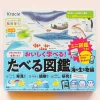 Kracie Learning Encyclopedia Of Sea Creatures DIY Gummy Kit