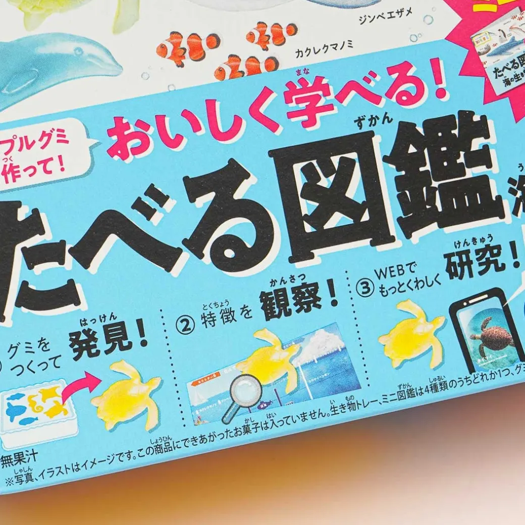 Kracie Learning Encyclopedia Of Sea Creatures DIY Gummy Kit