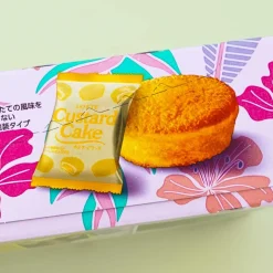 Lotte Custard Cake - Blueberry Pancake