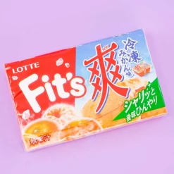 Lotte Fit's Gum - Refreshing Frozen Orange