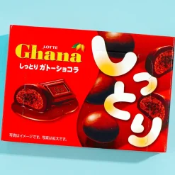 Lotte Ghana Moist Gateau Chocolate