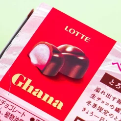 Lotte Ghana Raw Chocolate - Berries