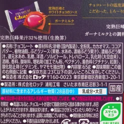 Lotte Premium Ghana Fruit Chocolate - Kyoho Grape