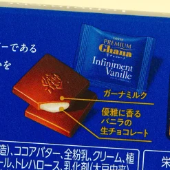 Lotte Premium Ghana Raw Infiniment Vanille Chocolate