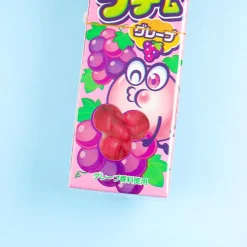 Meigum Petit Gum - Grape