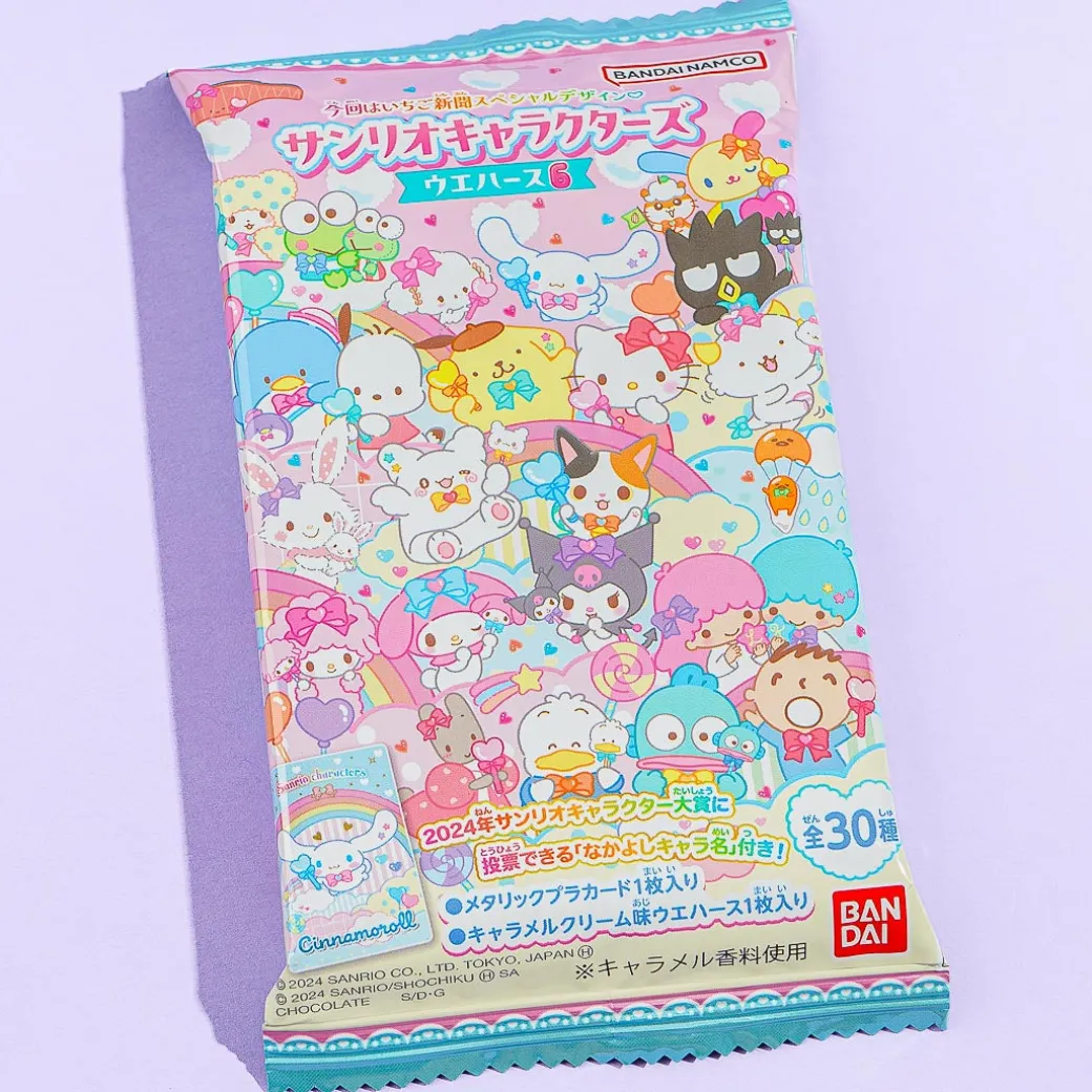 Sanrio Characters Wafer Vol. 6 With Card