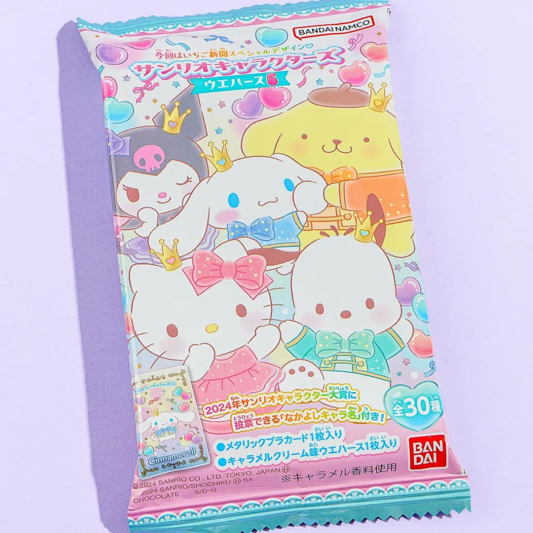 Sanrio Characters Wafer Vol. 6 With Card